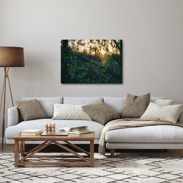 Obraz prosvítajícího slunce skrz větvičky stromů (70x50 cm)