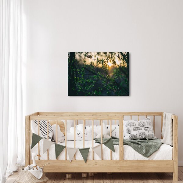Obraz prosvítajícího slunce skrz větvičky stromů (70x50 cm)