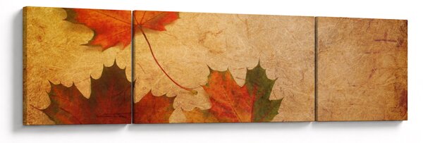 Obraz s podzimním motivem (170x50 cm)