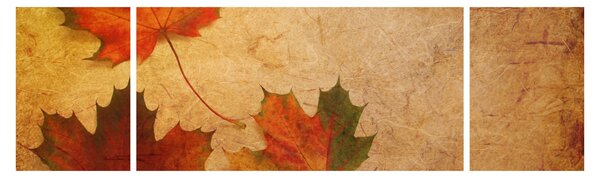 Obraz s podzimním motivem (170x50 cm)