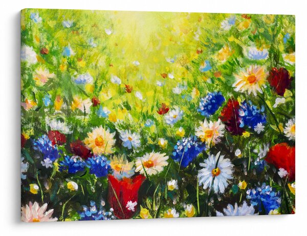 Obraz divokých květin (70x50 cm)