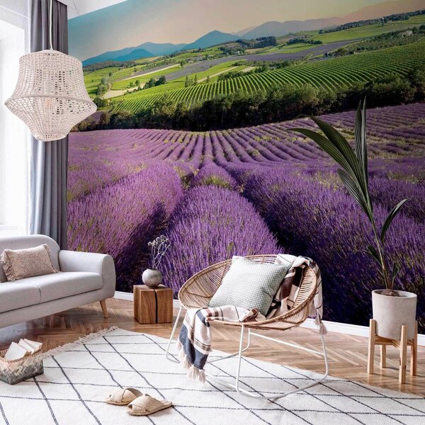 FOTOTAPETA velikost: 250/175 cm artgeist - Online Only tapety, Online Only