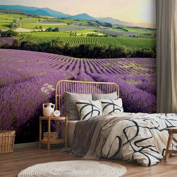 FOTOTAPETA velikost: 250/175 cm artgeist - Online Only tapety, Online Only