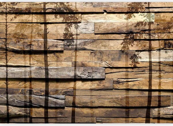 FOTOTAPETA velikost: 150/105 cm artgeist - Online Only tapety, Online Only