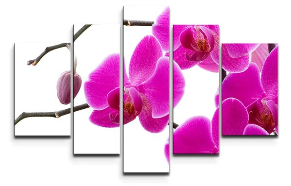Sablio Obraz - 5-dílný Fialové orchideje - 125x90 cm