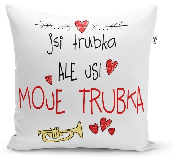 Sablio Polštář Jsi trubka, ale jsi moje trubka: 40x40 cm