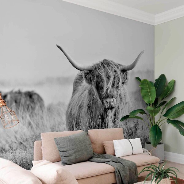 FOTOTAPETA velikost: 250/175 cm artgeist - Online Only tapety, Online Only
