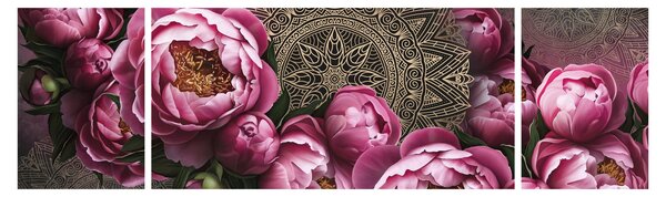 Obraz - Harmonie (170x50 cm)