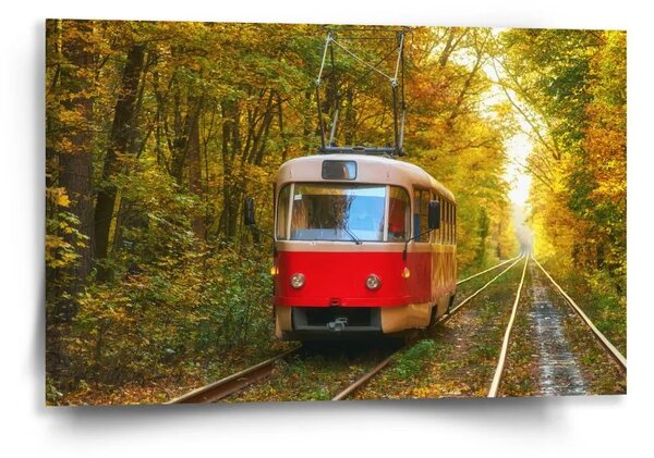 Sablio Obraz Červená tramvaj v lese - 60x40 cm