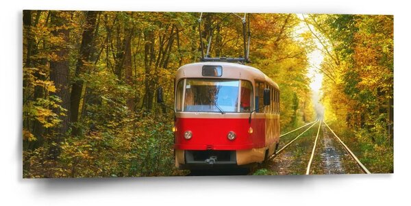 Sablio Obraz Červená tramvaj v lese - 110x50 cm