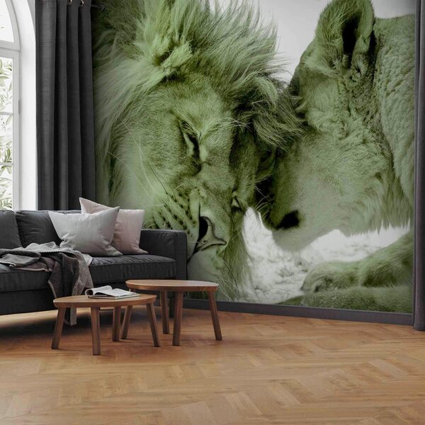 FOTOTAPETA velikost: 250/175 cm artgeist - Online Only tapety, Online Only