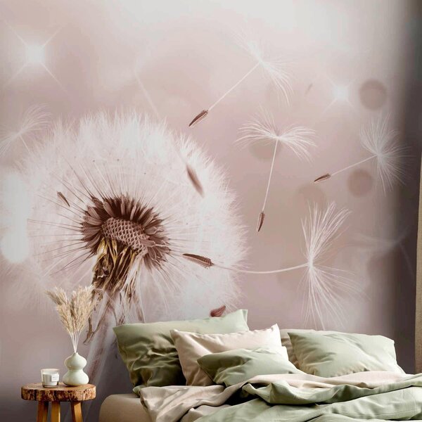 FOTOTAPETA velikost: 250/175 cm artgeist - Online Only tapety, Online Only