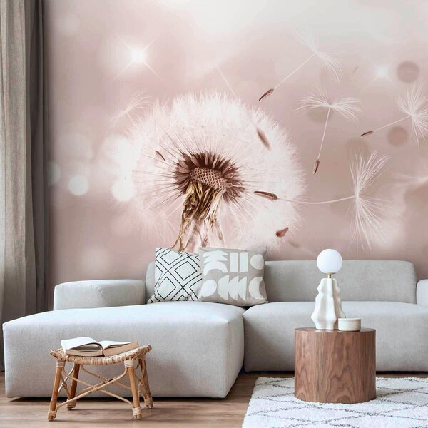 FOTOTAPETA velikost: 250/175 cm artgeist - Online Only tapety, Online Only