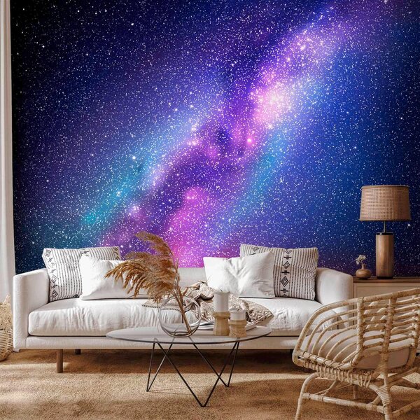 FOTOTAPETA velikost: 250/175 cm artgeist - Online Only tapety, Online Only