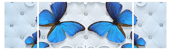 Obraz - Modří motýli (170x50 cm)