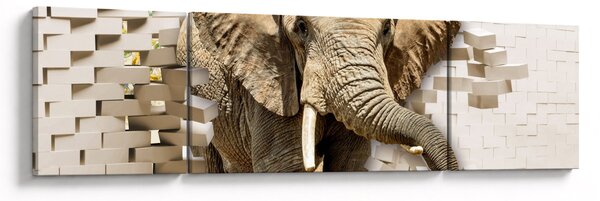 Obraz - Slon prorážející zeď (170x50 cm)