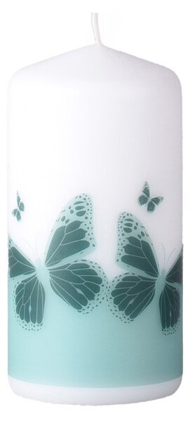 Válec 60x120 mm Velcí motýli, svíčka