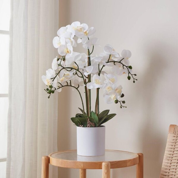 Eglo 428024 - Umělá rostlina v květináči HYUGA 65x50 cm orchidej
