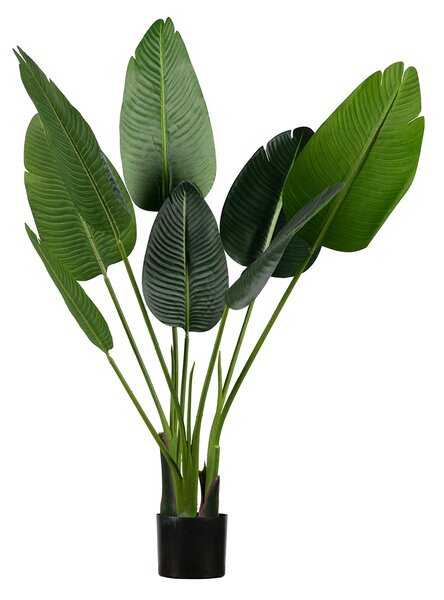 WOOOD Umělá dekorativní rostlina Strelitzia 108 cm
