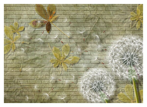 Obraz - Pampelišky unášené větrem (70x50 cm)