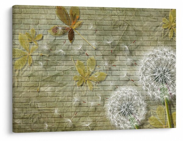 Obraz - Pampelišky unášené větrem (70x50 cm)