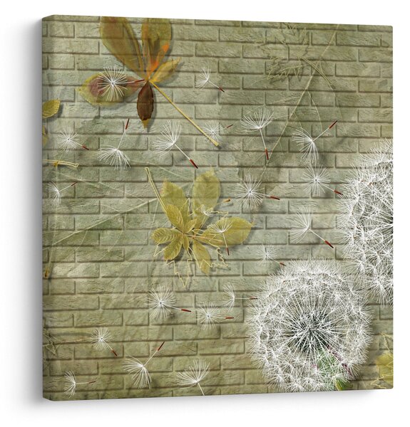 Obraz - Pampelišky unášené větrem (30x30 cm)