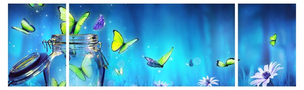 Obraz - Volnost (170x50 cm)