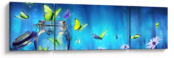 Obraz - Volnost (170x50 cm)