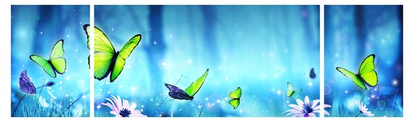 Obraz - Mystická lesní mýtina (170x50 cm)
