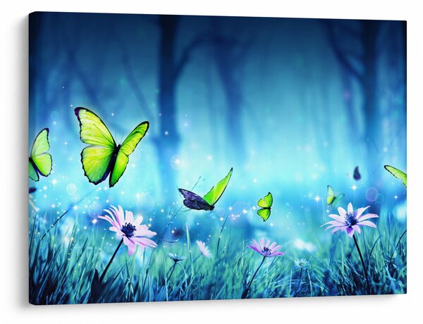 Obraz - Mystická lesní mýtina (70x50 cm)