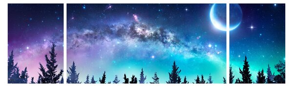 Obraz - Mléčná dráha (170x50 cm)