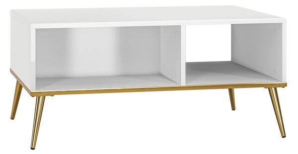 Konferenční stolek - GOLDIN 08, lesklá bílá/matná bílá