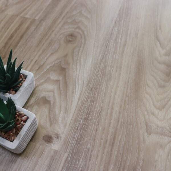 Vitro DV 14601 Pinie light 3,6635 m²