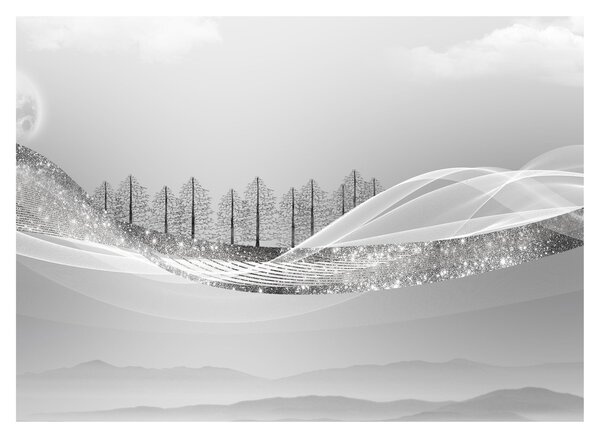 Obraz - Stříbrná krajina (70x50 cm)