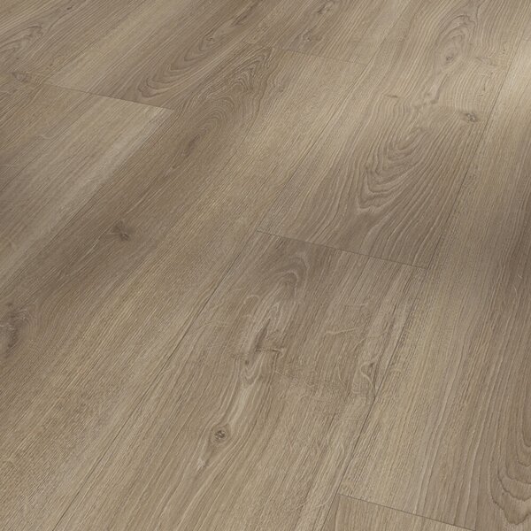 PARADOR Basic 600 Dub Studioline Macchiato 1748186 2,186 m²