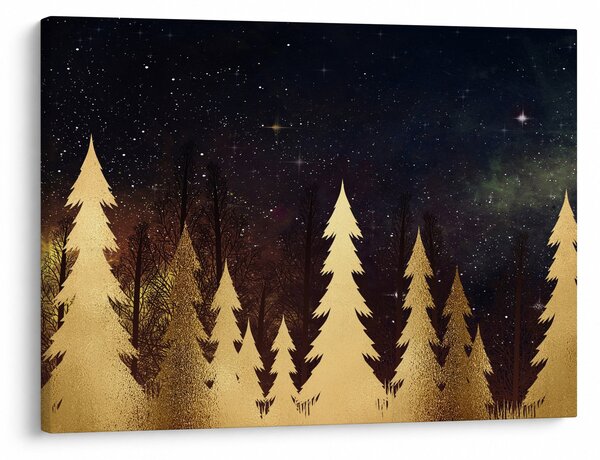 Obraz - Zlatá noc (70x50 cm)