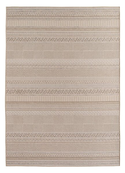 Béžový vnitřní a venkovní koberec 160x230 cm Desert 1303 – Ayyildiz Carpets