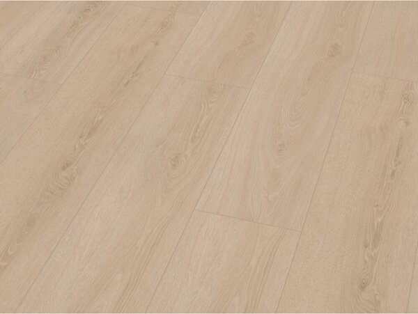 Parador Basic 5.3 - DUB STUDIOLINE BROUŠENÝ KARTÁČOVANÝ 4V 2,176 m²