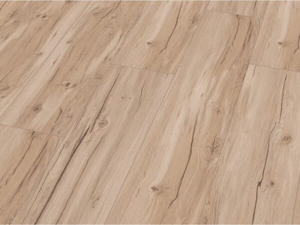 Parador Basic 5.3 - DUB MEMORY BROUŠENÝ KARTÁČOVANÝ 4V 2,176 m²