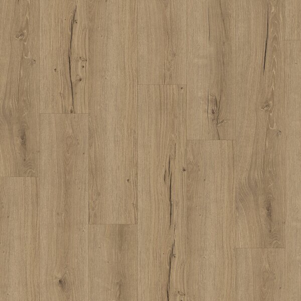 Parador Basic 5.3 - Dub Cambridge natural 1748825 2,176 m²