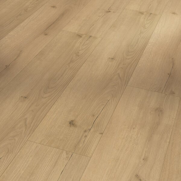 Parador Basic 5.3 – Dub Infinity natural 1744607 2,176 m²