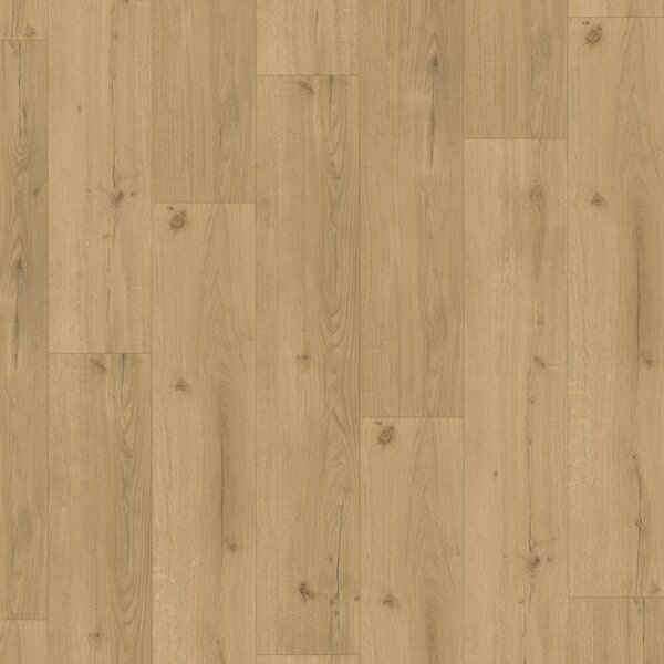Parador Basic 5.3 – Dub Infinity natural 1744607 2,176 m²