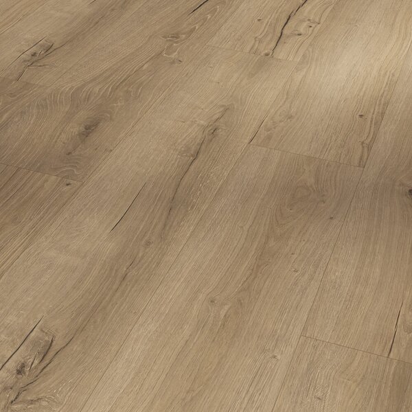 Parador Basic 5.3 - Dub Cambridge natural 1748825 2,176 m²