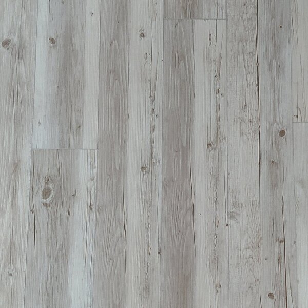 Nero SPC DV 12116 Borovice milk 2,2568 m²
