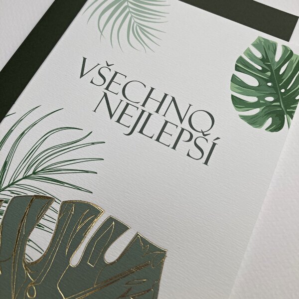 Spring Studio Blahopřání Monstera