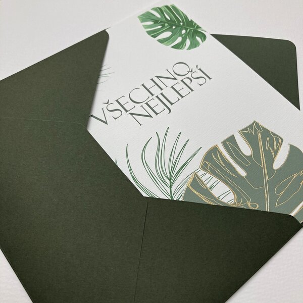 Spring Studio Blahopřání Monstera