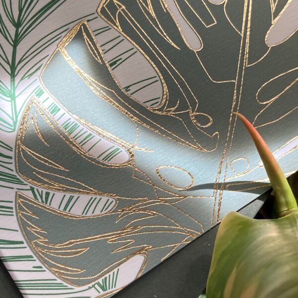 Spring Studio Blahopřání Monstera