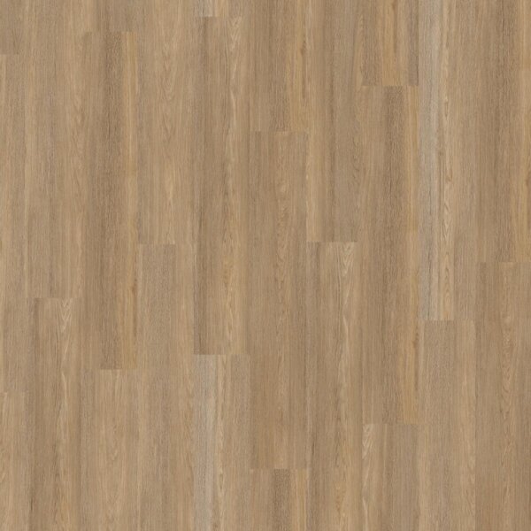 Objectflor Expona Clic 19 dB 9036 Treehouse Oak 2,14 m²