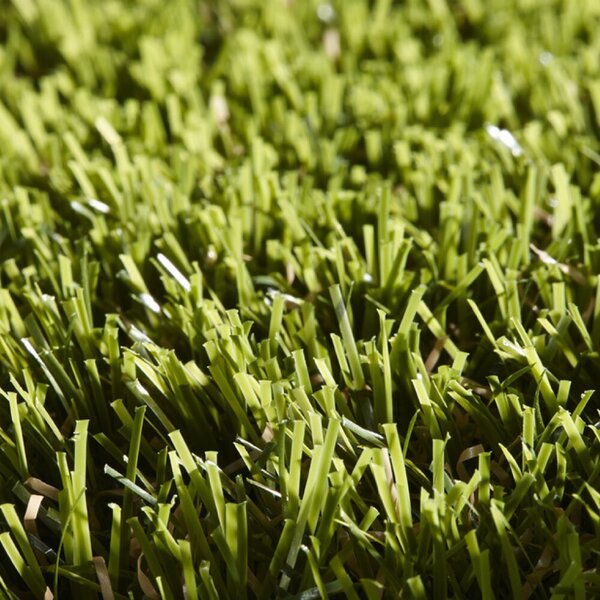 Travní koberec EASY LAWN ROSEMARY šíře 1 m