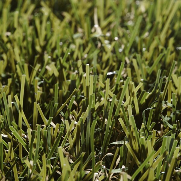 Travní koberec EASY LAWN BOTANIC šíře 2 m 2 m²